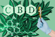 Čo je CBD a aké sú jeho vlastnosti?