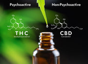 Prečo konzumovať CBD olej bez THC?