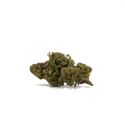 Critical CBD
