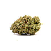 Congelado CBD