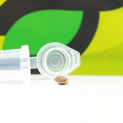 Feminizované semená - Moby Dick CBD