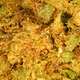 Small Heads OG Kush CBD