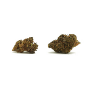 Mažos galvos Amnesia CBD