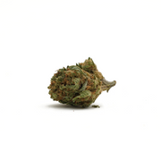 Harlequin CBD