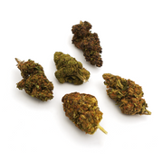 Pacote de flores CBD
