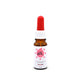 Óleo para gatos CBD 10% (francês)