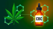 Qu'est-ce que le CBC ? Le cannabinoïde méconnu du chanvre