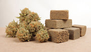 Fleurs CBD ou résine : comment choisir le produit idéal avec CBDSOL ?