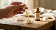 Prendre de l'huile CBD sur un sucre : bonne idée ou pas vraiment ?