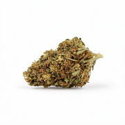 Watermelon CBD
