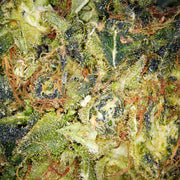 Smrznuti CBD