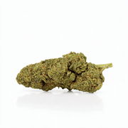 Payton CBD
