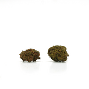 Little Heads Cheese CBD