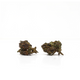 Kleine koppen Purple Haze CBD