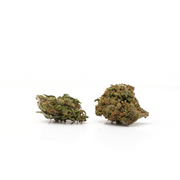 Pienet päät Tropical Haze CBD