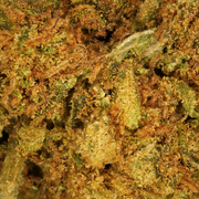 Sour Diesel CBD