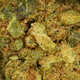Sour Diesel CBD