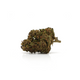 CBD Tropical Haze