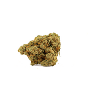 Amnesia .0 CBD [Hydrocultuur]