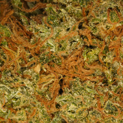 Blue Dream CBD
