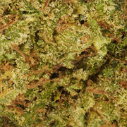 Cookie Kush CBD