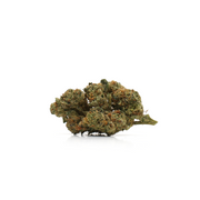 Plutonium CBD