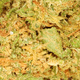 Orange Bud CBD